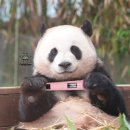 부암3어린이청소년도서관 | 부산 진구 부암 어린이청소년도서관 (+ 맛집, 공부)