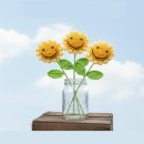 해바라기상회 - 강화군 중앙로 17-9 | 해바라기상회