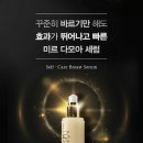 다모아마켓