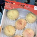 주산농장2 이미지