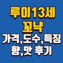 루이13세 | 루이 13세 | 꼬냑 | 가격 | 면세점 주류점 가격 | 도수 | 향 | 특징 | 맛 후기
