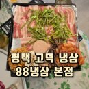 호돌이비디오 | 평택 고덕 냉삼 호돌이 세트 88냉삼 본점