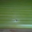 후니네작은카페 이미지