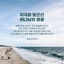 내 마음이 확정되고 확정되었사오니 (시57편) 이미지