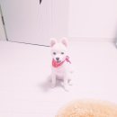 신당좋아요동물병원 이미지