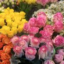 노화읍-1 | 노화도꽃집 단비꽃길 졸업식 축하꽃 후기