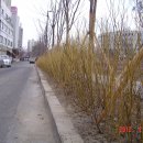 목화농원 이미지