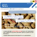영인곡물