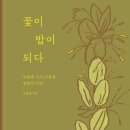 서평 이미지