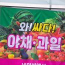 싸다야채