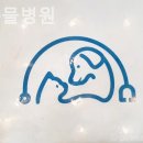 올치동물병원 이미지