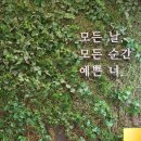 멍브로 | 성남 애견카페 멍브로 내돈내산 솔직 후기(꿀팁모음)