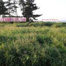 (주)오션그랜드호텔 이미지