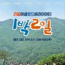 박*일 Daum카페