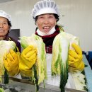 팔봉산영농조합법인 이미지