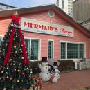 파발로 | 경기광주 미국 느낌 낭낭한 카페: 머메이드레시피 내돈내산 방문후기!