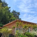 약식동원 다루야 이미지