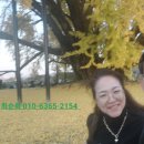 살대울 경로당 | 실버보드게임으로 잠자는 뇌를 깨우자.원주최순희실버보드게임의 세계로 퐁당 빠지던 날