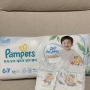 (주)소프트매쉬 | 팸퍼스 2026 터치 오브 네이처 썸머팬티 에어매쉬 여름기저귀 후기