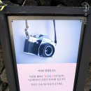 남원읍-106 이미지