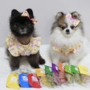 아임마인드 이미지