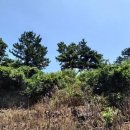 어도초등학교 이미지