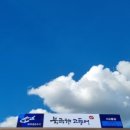 북극해고등어 이미지