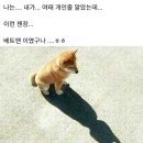 은혜를 갚은 "개" 이미지