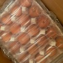 등고개2 이미지