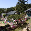 흥륜사 - 1429 | 흥륜사