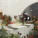 설개로 | 수서 성남 웨딩홀 메종디탈리 시식 후기 (계약O)