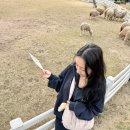 더강릉포레 | 증평 벨포레리조트 가족여행 추천, 미디어아트센터 모토아레나까지 완벽 코스