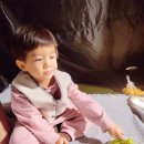 당항포관광지오토캠핑장 | 바다가 보이는 고성 상족암 오토캠핑장 2박3일 솔직 후기