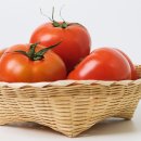 준 휘트니스 이미지