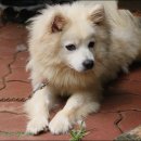 도도농장 이미지