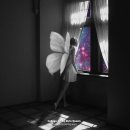 기린스튜디오(KIRIN STUDIO)