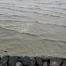 별총총바다풍경 이미지