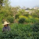 태호환경(주) 이미지