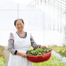 열두달밥상 이미지