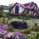 솔빛펜션 | 아산펜션 솔빛펜션 방문 후기 가는길 주차