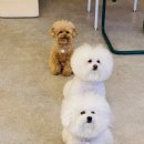 나른한 오후의 목욕 이미지