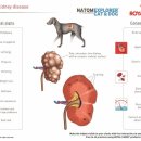 린동물병원 이미지