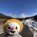 [평창 여행 후기-3화] 바우뜰여행사/보헤미안게스트하우스