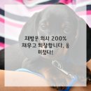 엠플란트치과의원 이미지