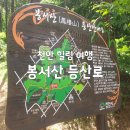 봉서산약수 | 천안 힐링 여행 백석동에서 쌍용동까지 봉서산 등산로 산책 추천