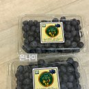은산농장 | 선향원 블루베리 구매 솔직 성공후기 (경동시장 비교)