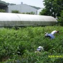 바구니농원 이미지