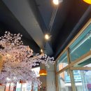 머구식당 이미지