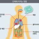 에스에이치텍