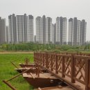 평택시 배다리저수지1 이미지